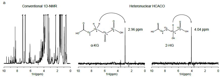 Conventional 1D-NMR과 heteronuclear HCaCO NMR 데이터.