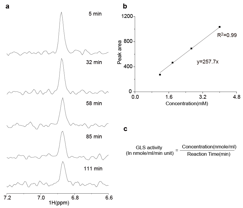 (a) 시간적 처리에 따른 glutamine 피크 강도의 양적 변화. (b) glutaminase activity의 absolute quantification.