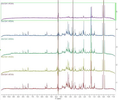 뇌암 세포주(IDH1 WT) 시료에 대한 NMR spectrum