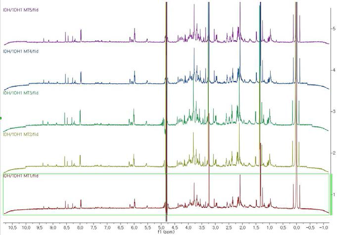 뇌암 세포주(IDH1 MT) 시료에 대한 NMR spectrum