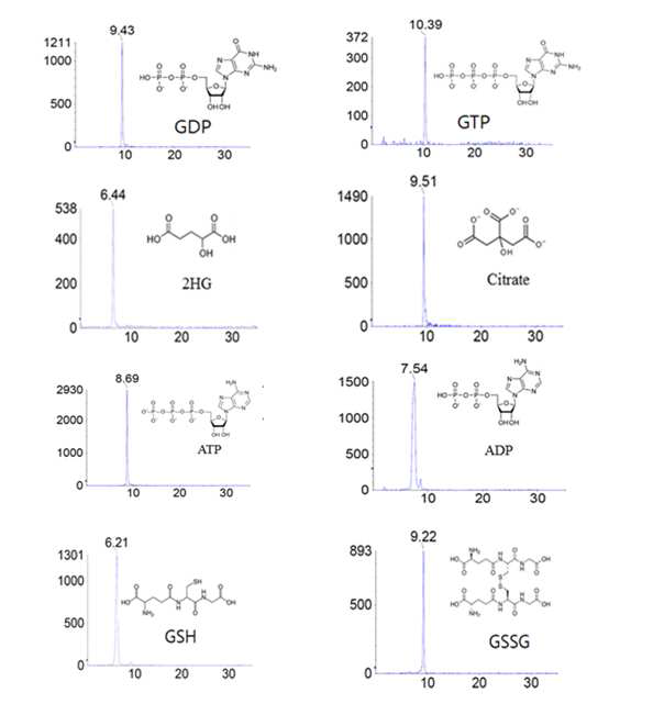 LC-MS/MS (MRM mode)을 이용하여 검출 된 대사물질들chromatography 획득