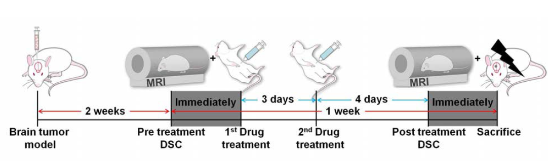 Drug 저항성 평가 연구를 위한 실험 디자인