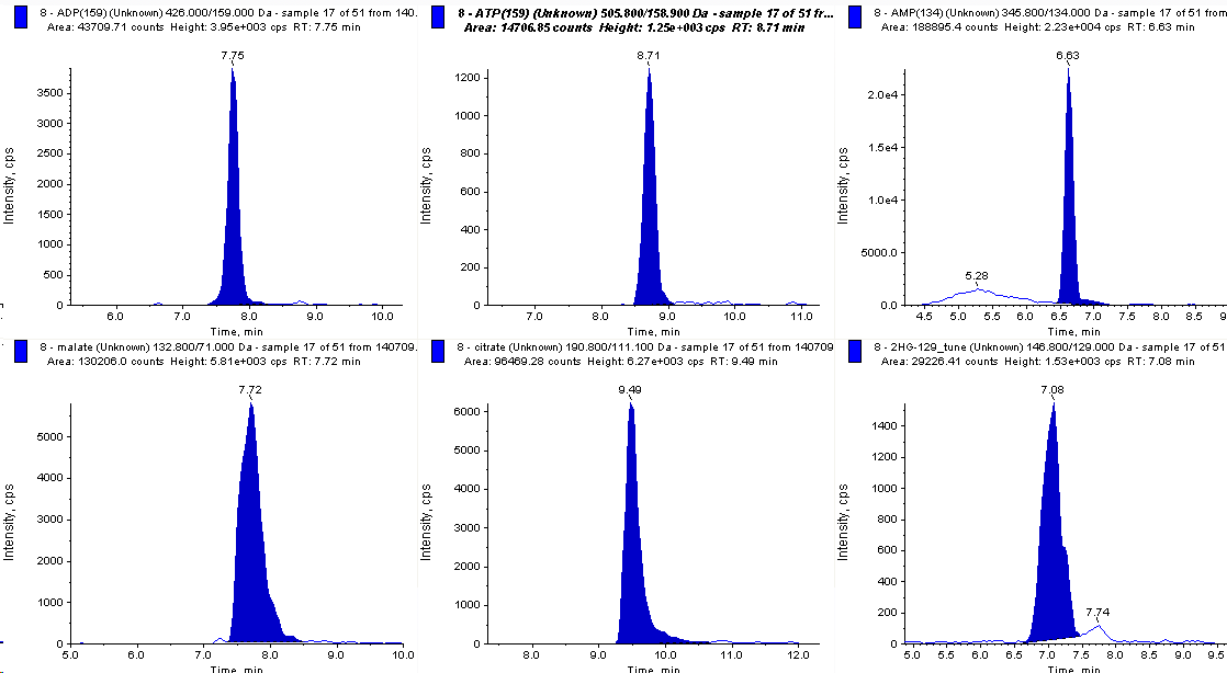 뇌암 조직에서 동정된 대표적 6가지 물질 (ADP, ATP, AMP, malate, citrate, 2HG)