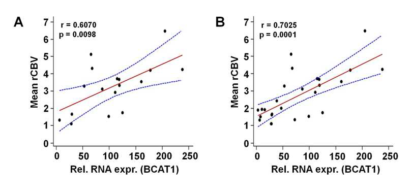 뇌종양 환자 조직에서의 Blood volume 값과 BCAT1 발현률의 상관관계 (A) IDH1 정상 발현 환자에서의 상관관계 (B) IDH1 정상 발현 환자와 변이 환자 모두에서의 상관관계