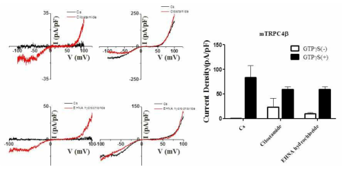 HEK 293 세포에서의 PDE inhibitor가 TRPC4 이온통로에 미치는 영향 확인