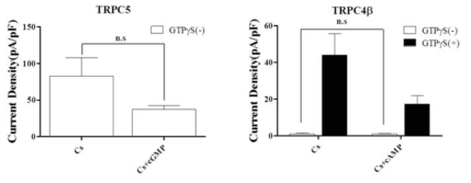 cGMP 및 cAMP가 TRPC 이온통로 활성에 미치는 영향