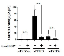 Rasd1이 다른 TRPC 이온통로에 미치는 영향