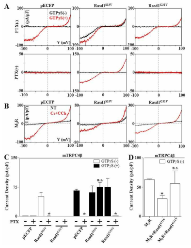 TRPC4 이온통로에 M2R, Rasd1, PTX가 미치는 영향