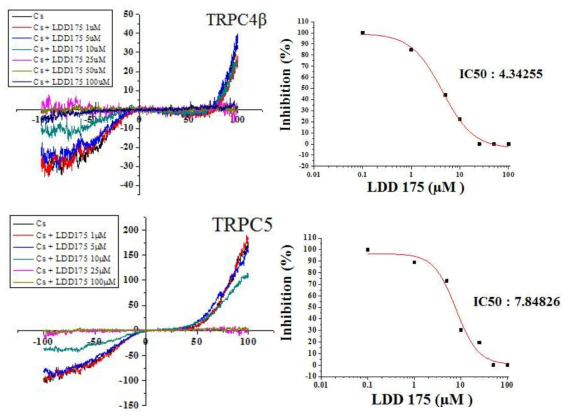 선도물질 LDD175가 TRPC4,5에 미치는 영향