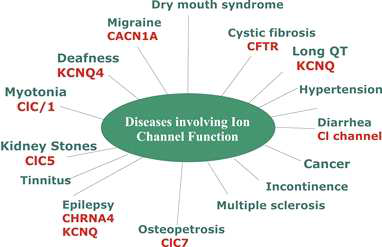 질환과 관련된 이온통로