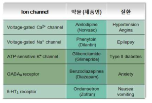 대표적인 이온통로 조절 약물