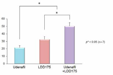 Udenafil과 LDD175의 병용투여 효과