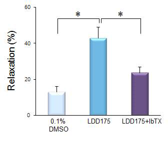 Iberiotoxin이 LDD175의 평활근 이완효과에 미치는 영향