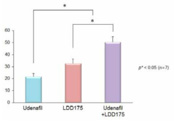 Udenafil과 LDD 175의 병용투여에 의한 음경해면체 평활근 이완효과 비교.