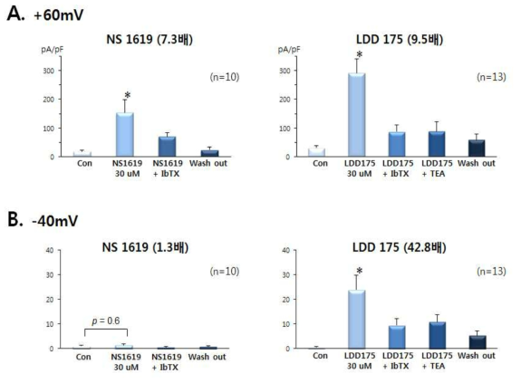 음경해면체 평활근 세포에서 NS1619와 LDD175의 BKCa 이온통로 활성효과 비교. IbTX: 100 nM iberiotoxin, TEA: 1 mM tetraethylammonium