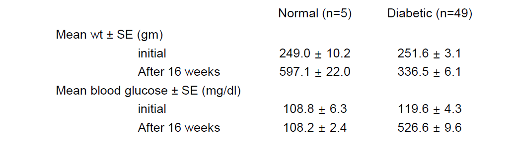 당뇨질환 백서의 체중 및 혈당 변화