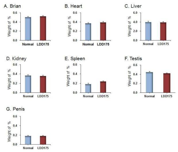 LDD175 투여 후 백서 주요 장기조직의 상대중량 변화