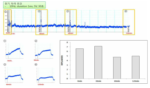 DW 투여 후 시간 (30, 60, 120 min)에 따른 요도내압 변화