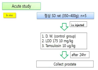 LDD175에 의한 세포내 특성 변화 측정을 위한 단기 투여 모식도