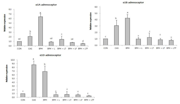 전립선 비대증 동물모델에서 LDD175와 tamsulosin 또는 finasteride 와의 병용에 따른 α1-adrenergic receptor의 발현