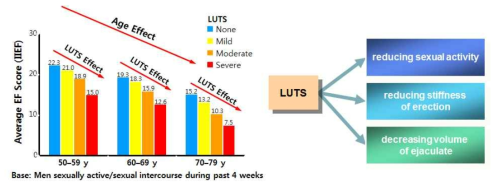 발기부전과 하부요로증상의 상관관계