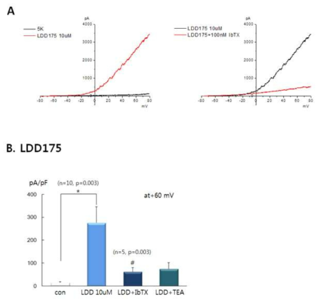 BKCa 채널에서의 LDD175의 전류 측정
