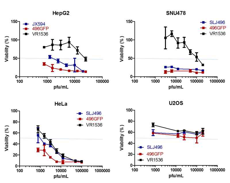 세포주별 암세포 독성 우수성 확인