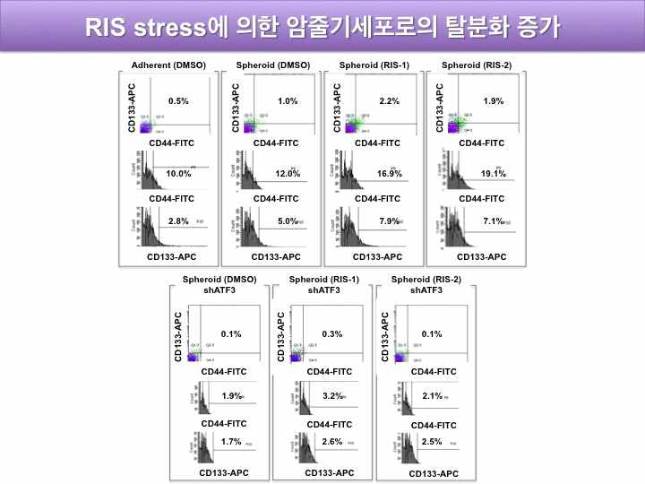 RIS 노출에 의한 암 줄기세포로의 탈분화 증가