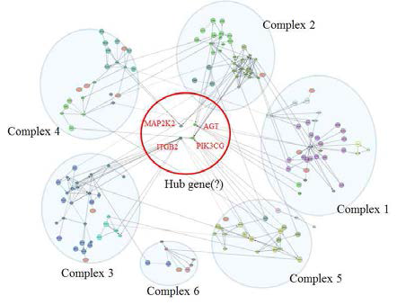 발굴된 211개 유전자에 대한 Network 분석 및 clustering 결과