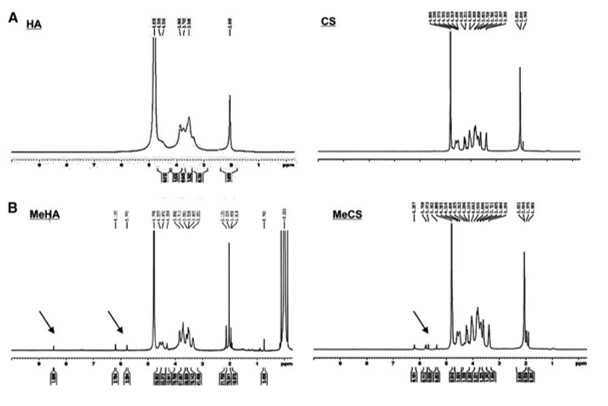 1H-NMR을 통한 메타아크릴레이트 기의 도입 확인