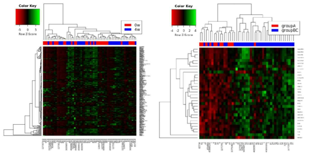 Heatmaps of gene expression in samples according to treatment status and groups (right). (Group A=control, Groug B=linezolids for 2weeks, Group C= llinezolid for 4weeks)