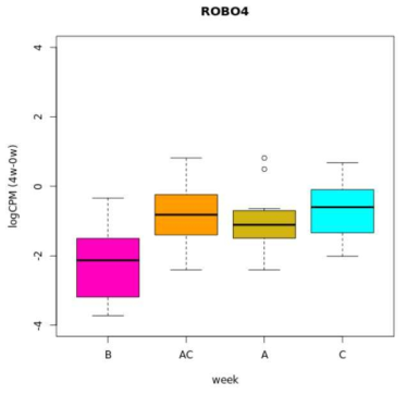 A boxplot for ROBO4 gene expressed differentially according to the interval (2w vs 4w) from initiation of treatment (Group A=control, Groug B=linezolids for 2weeks, Group C= llinezolid for 4weeks)