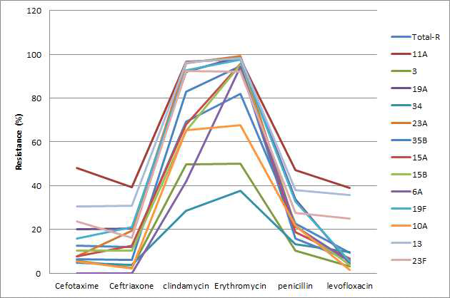 혈청형별 항균제 내성율의 차이