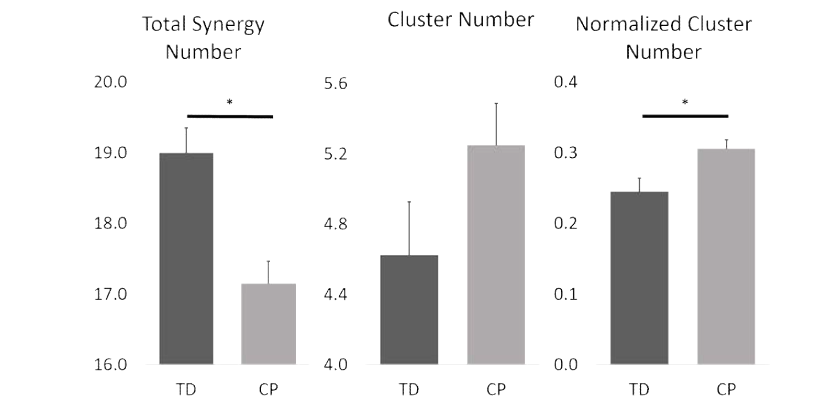 정상 발달 아동(TD)의 경우 보행에 사용하는 근육 시너지 수는 많았으나 유사한 시너지들이 반복적으로 발생하여 클러스터에 할당된 수는 뇌성마비 아동(CP)과 비교하여 많지 않았음. 클러스터 수를 근육 시너지 수로 정규화 할 경우 뇌성마비 아동은 정상발달 아동보다 다양한 근육 시너지를 사용하는 것으로 나타남