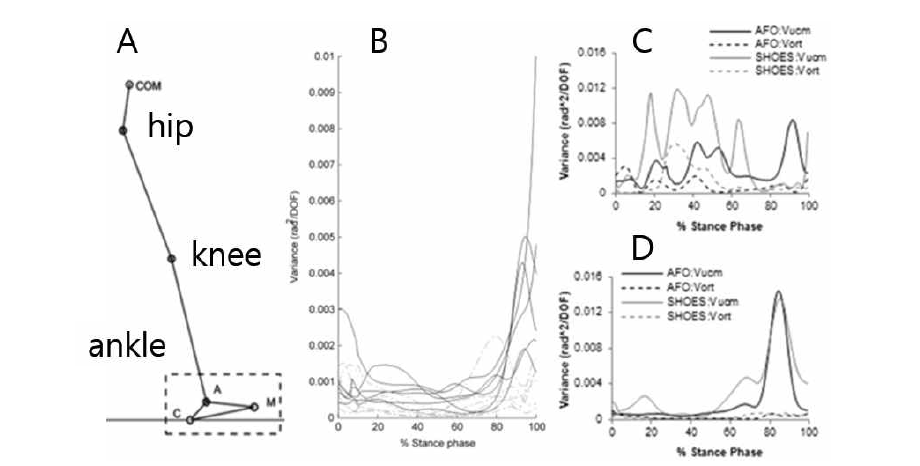 뇌졸중 환자의 보행 입각기(stance phase)에서 각 하지 관절(A) 간 협응을 재활 치료 전과 후에 관찰하였다. B와 같이 정상 대조군은 VarUCM가 입각기 후기에 주로 증가하지만, 뇌졸중 환자의 경우(C) 전 보행 주기에 걸쳐 VarUCM이 큰 것으로 나타났다. 그러나 UCM 공간에서 증가한 가변성은 재활 치료 후(D) 감소하는 양상을 보이며, 정상 대조군과 유사한 패턴을 보여주고 있다.