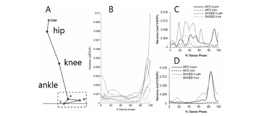 뇌졸중 환자의 보행 입각기(stance phase)에서 각 하지 관절(A) 간 협응을 재활 치료 전과 후에 관찰하였다. B와 같이 정상 대조군은 VarUCM가 입각기 후기에 주로 증가하지만, 뇌졸중 환자의 경우(C) 전 보행 주기에 걸쳐 VarUCM이 큰 것으로 나타났다. 그러나 UCM 공간에서 증가한 가변성은 재활 치료 후(D) 감소하는 양상을 보이며, 정상 대조군과 유사한 패턴을 보여주고 있다.