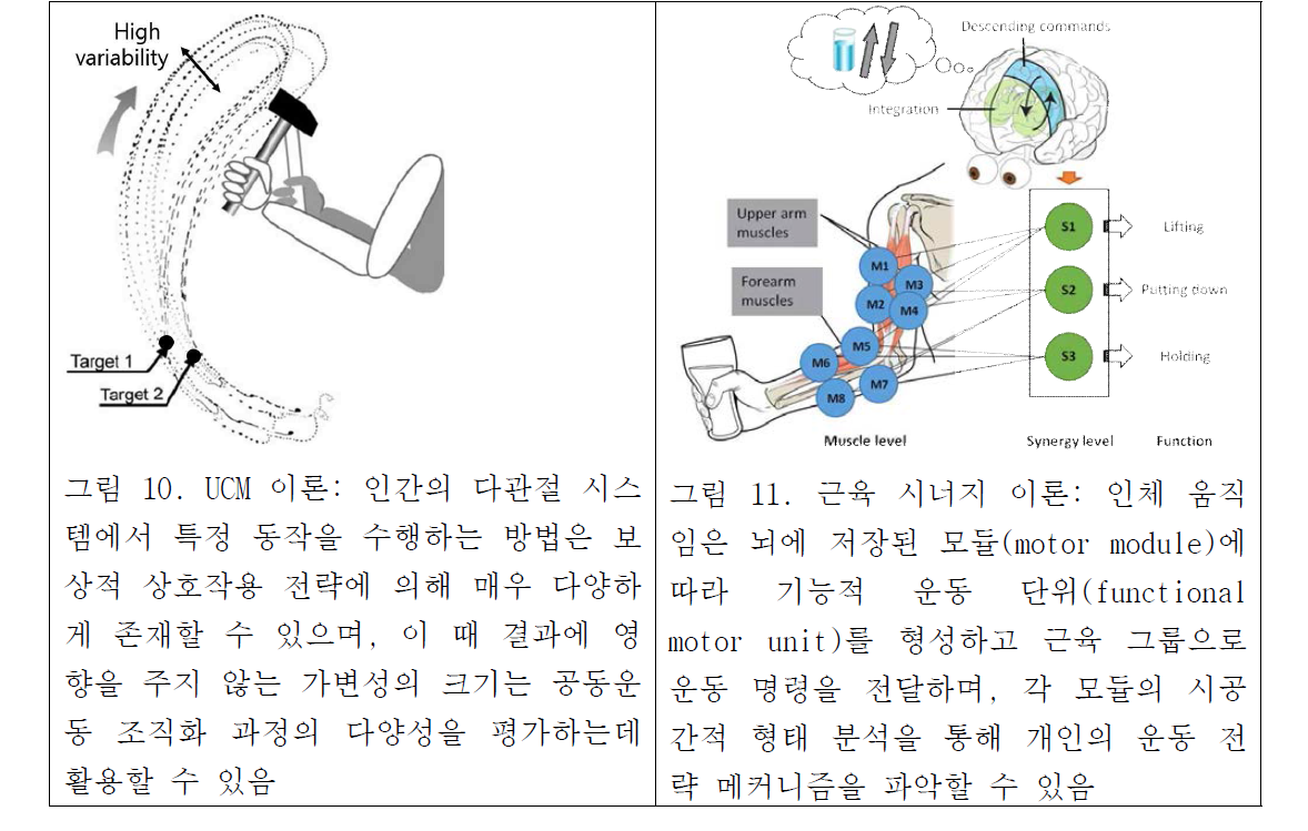 인체 운동 협응을 설명하기 위한 UCM 이론과 근육 시너지 이론 적용