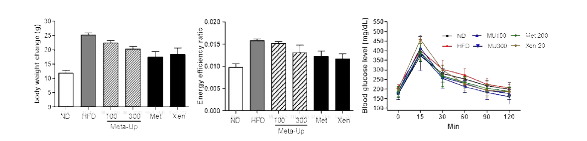 Effect of Meta-Up on body weight and OGTT