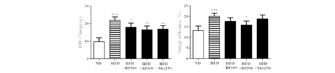 Effect of RP extract on body weight and energy efficiency