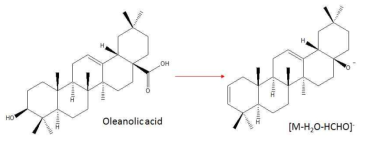 Transition of oleanolic acid in negative ESI mode