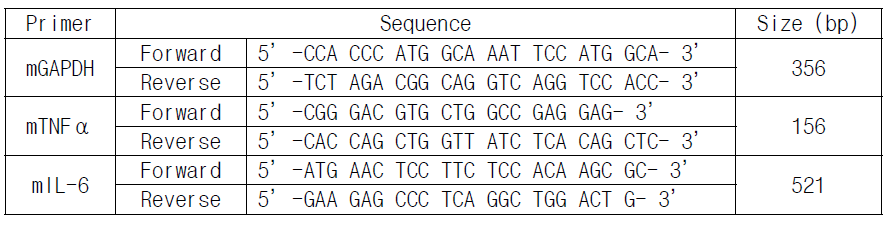 Primer sequences list