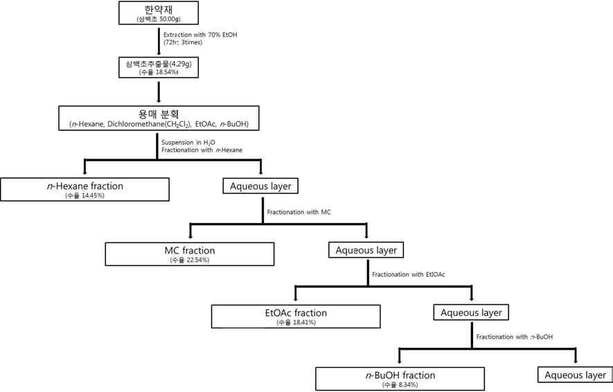 삼백초의 용매 추출 및 용매 분획