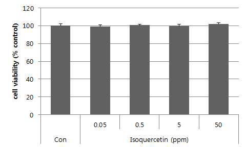 Isoquercetin의 HDF-N 세포에 대한 독성 평가