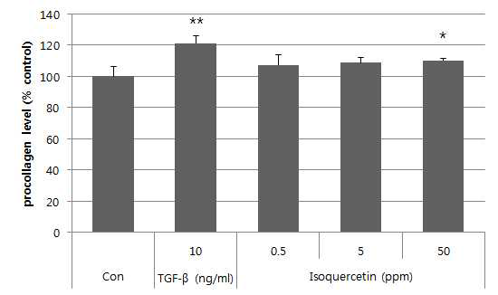 Isoquercetin의 procollagen 합성능 평가