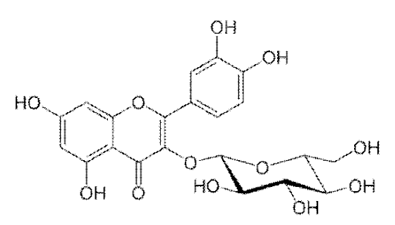 지표 성분의 구조 (Isoquercetin)