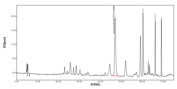 선복화추출물의 HPLC Spectrum