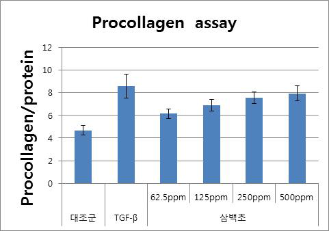 삼백초추출물의 E.A.용매분획물의 주름개선 효능평가 결과