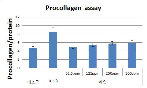 하엽추출물의 E.A.용매분획물의 주름개선 효능평가 결과