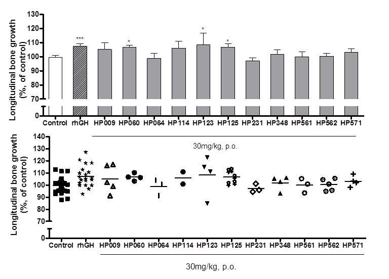 Longitudinal bone growth in rats