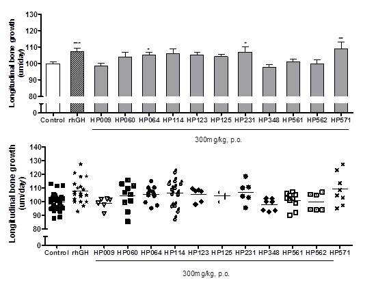 Longitudinal bone growth in rats